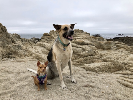 Lula and Rio