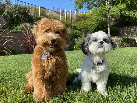 Teddy Mac and JoJo
