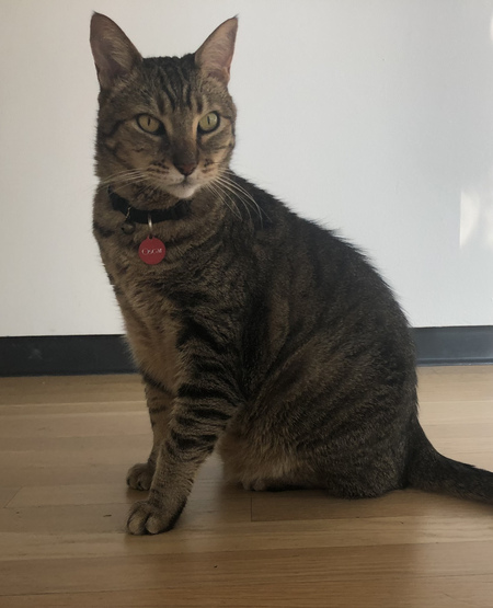 Oscar
