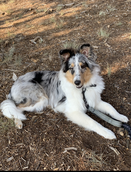 Sadie Marina 