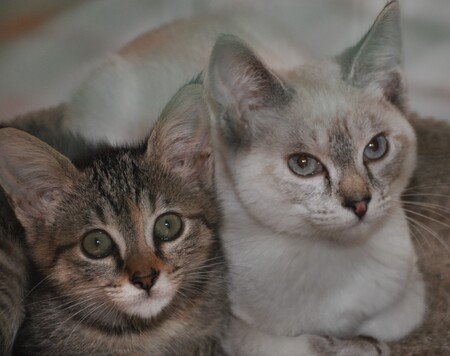 Kinzie & Lilah