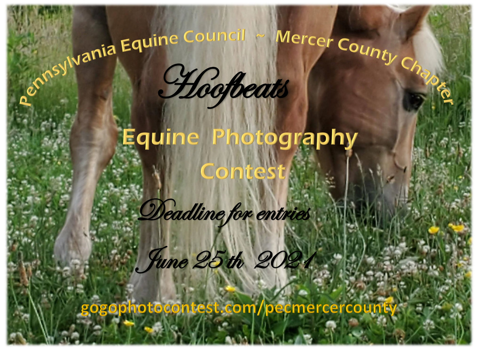 Banner for 2021 Hoofbeats Equine Photo Contest