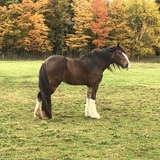 Entry image for Lady Cydric