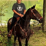 Entry image for Woody