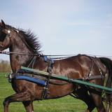 Entry image for Test photo