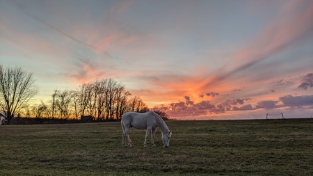 Entry image for "Spirit". Clicking this image will show a larger photo