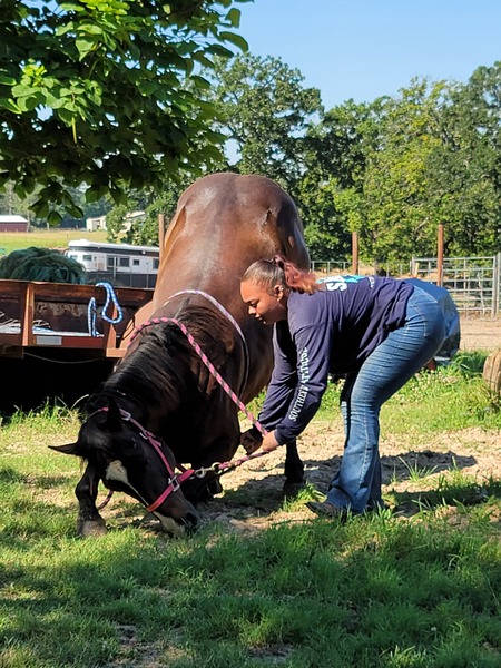 Entry image for Bronco Billy. Clicking this image will show a larger photo