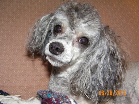 Buster P. Myers