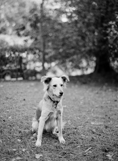 Lola