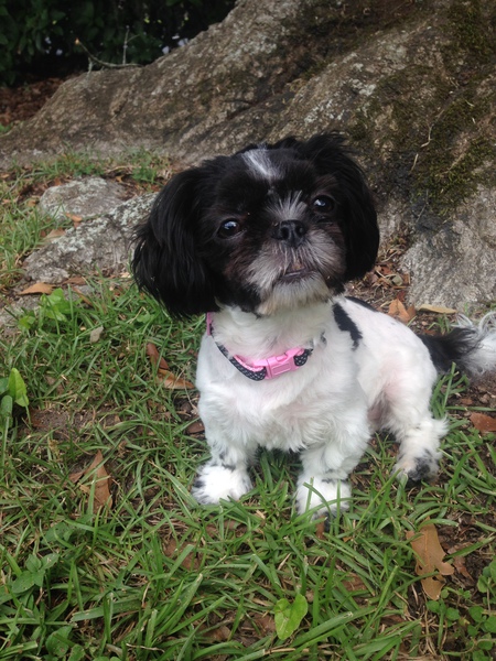 Gracie