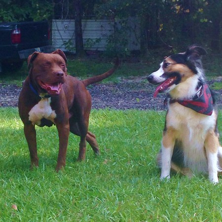 Doak and Lexie