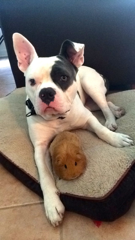 Titan and Whiskey 