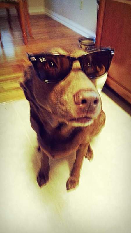 Sadie