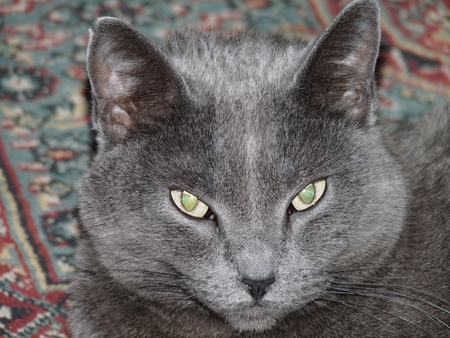 Jingles