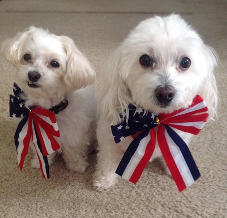 Sandy & Ziggy