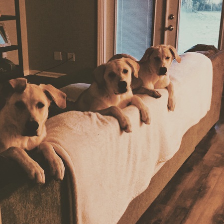 Fitz, Jake, Josie
