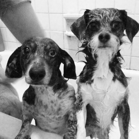 Brinks & Milo