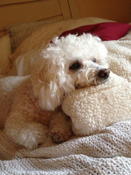 Maggie
