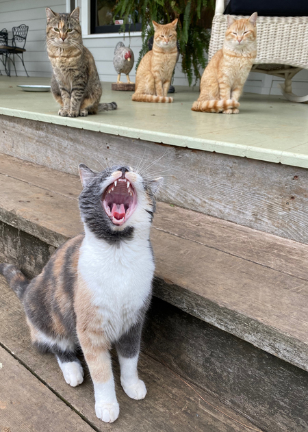 Mabel and her sisters