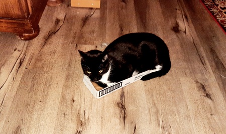 Lynk - No box is too small!