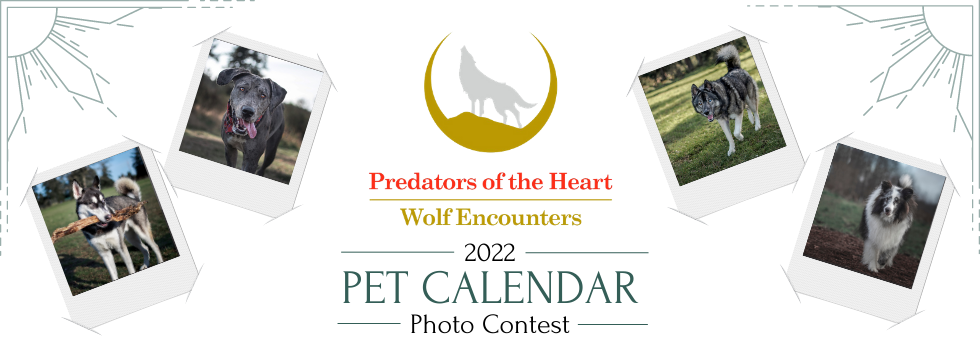 Banner for Predators of the Heart 2022 Calendar Contest