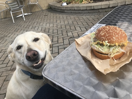 Buddy