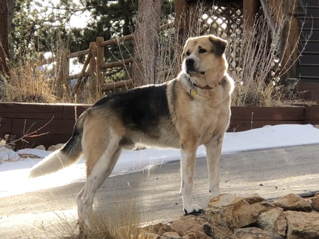 Baxter