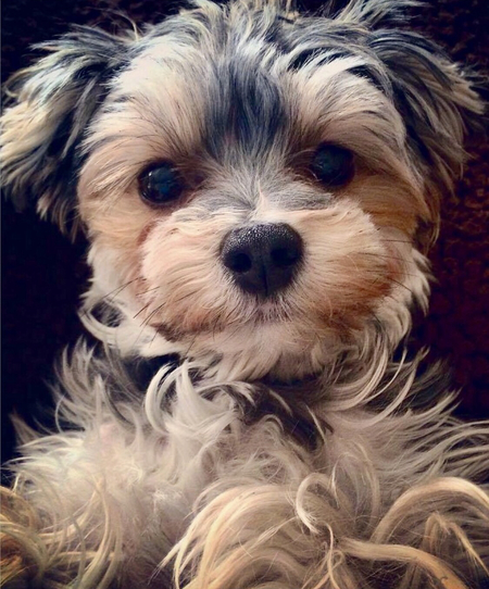 Mia