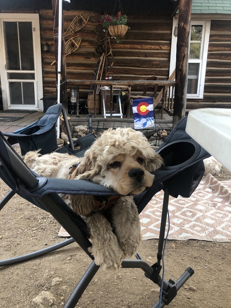Bert