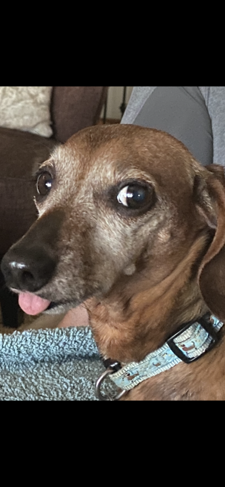 Oscar
