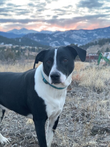 Penny Sue