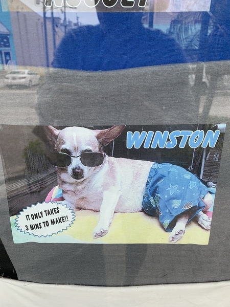 Winston