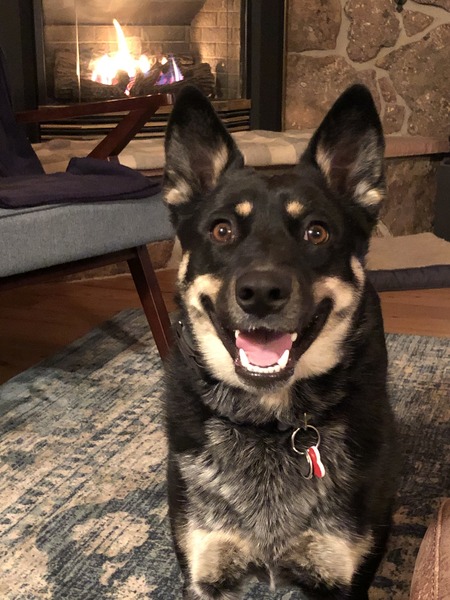 Nika