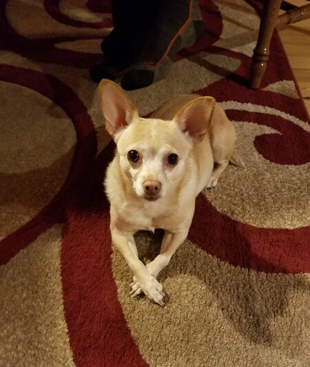 Chloe