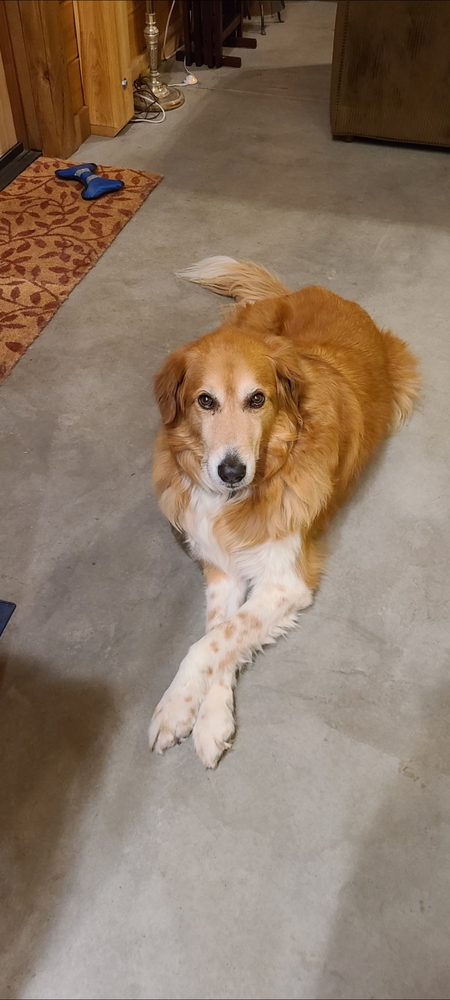 Bella