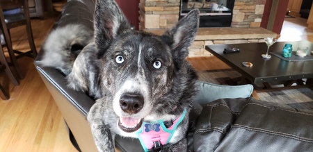 Sophie