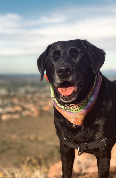 Nala