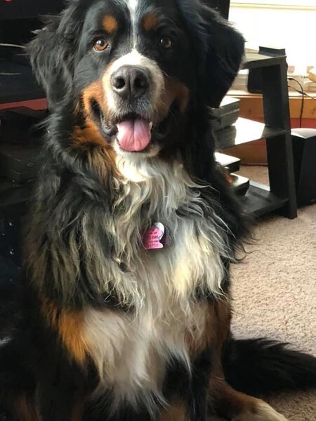 Xena