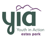 Youth in Action
