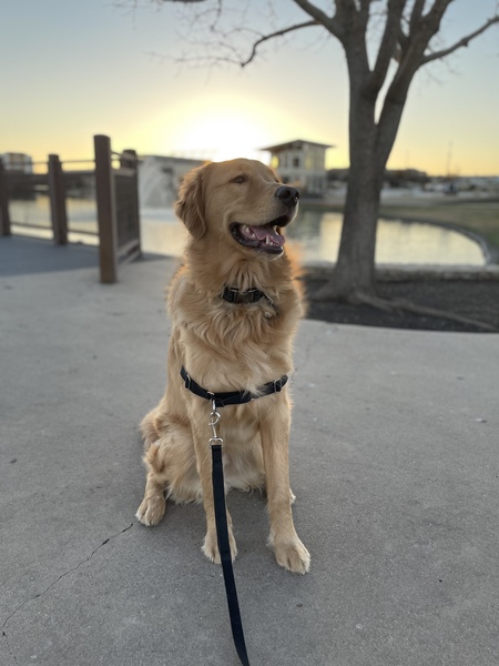 Copper
