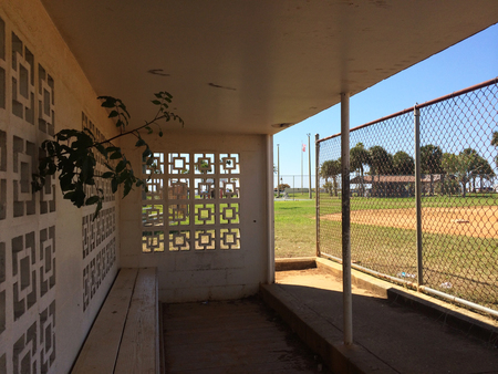 a dugout in florida