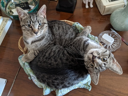 Bix and Bessie