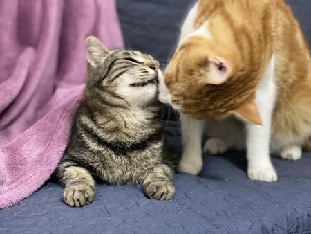 Mimi and Coco