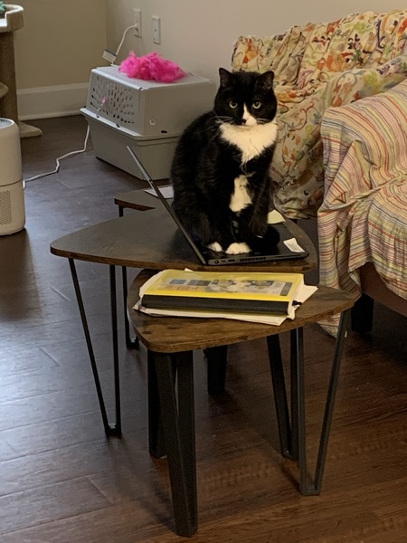 Milton