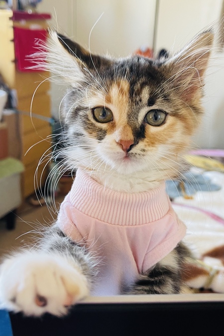 Mia