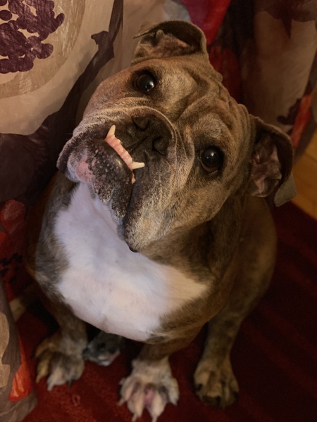 Josephine (Josie)