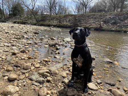 Tucker