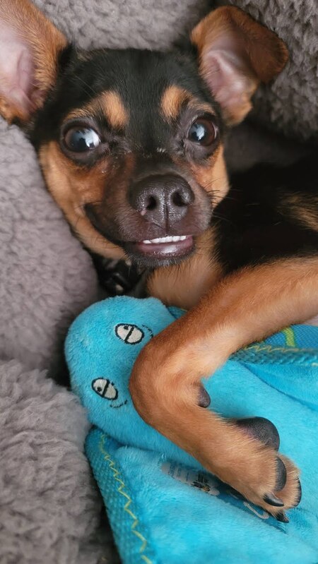 Max