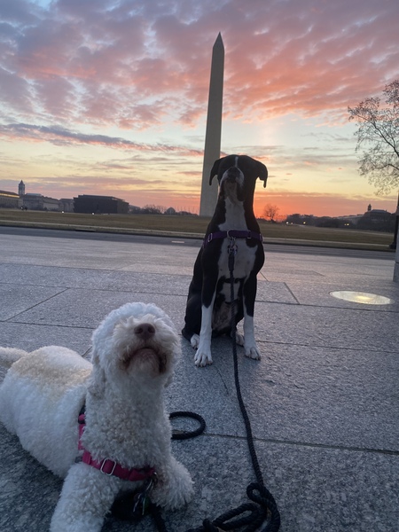 Rhea and Barzy 
