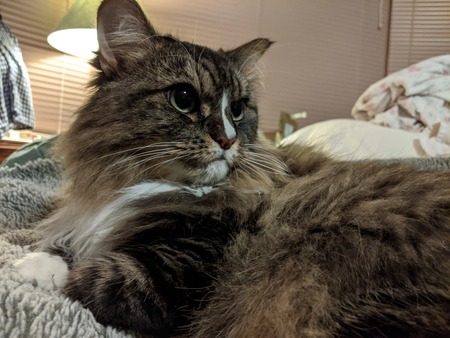 Chloe